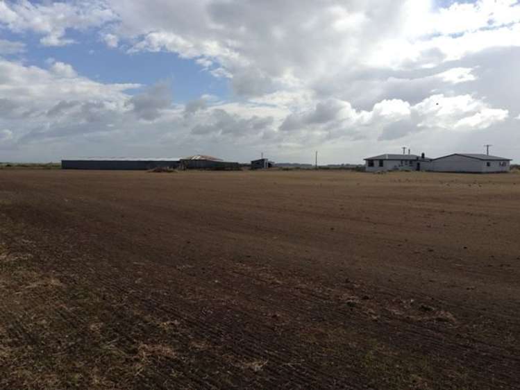 1110 Waimatuku Bush Road Taramoa_18