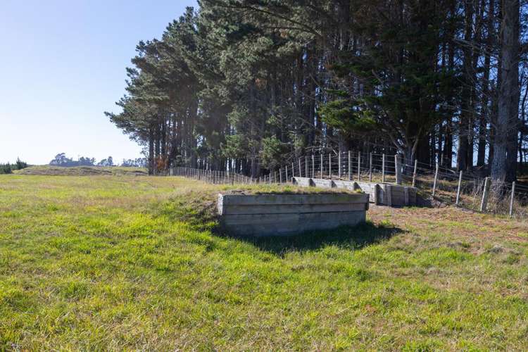 163 Downs Road Himatangi_13
