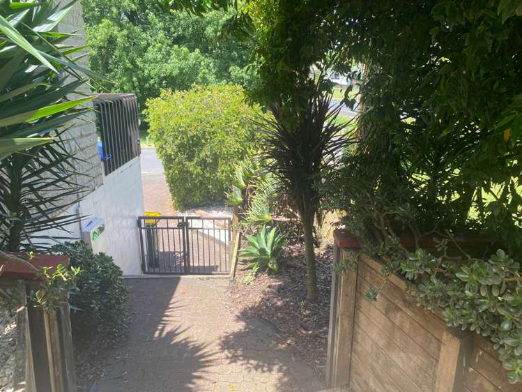 2a Brownlee Place Pukekohe_16