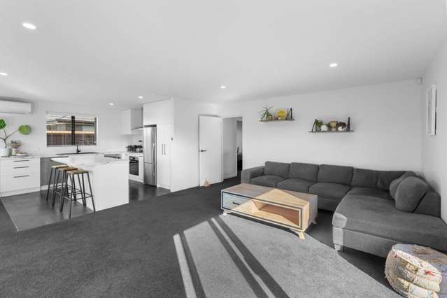 11 Andesite Dr Rolleston_3