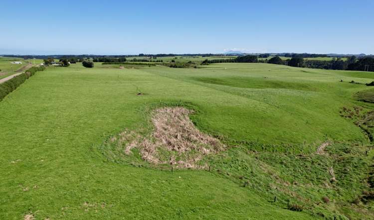 149 Paerewa Road Waverley_23