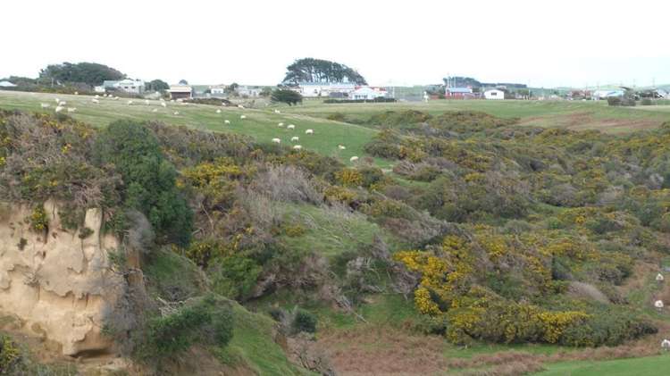 13 Denbigh Street Orepuki_11