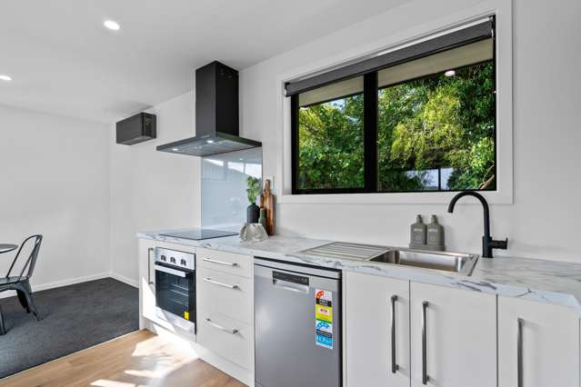 83 Venus Street Georgetown_2