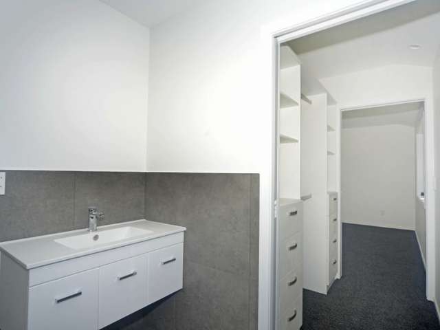 11a Montgomery Street Levin_4