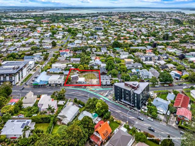 847 New North Road Mt Albert_1