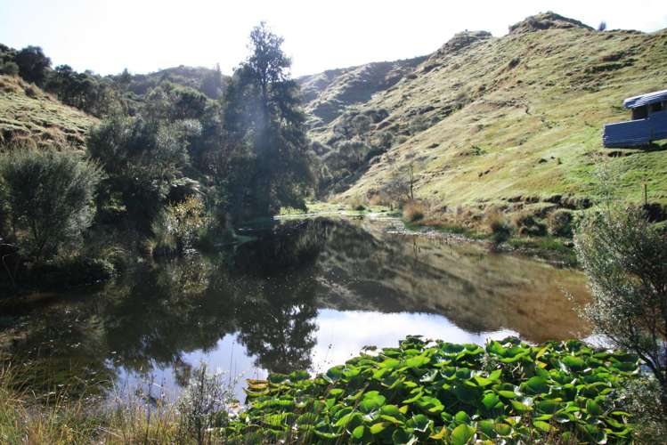 4869 Ohura Road Pohokura_24