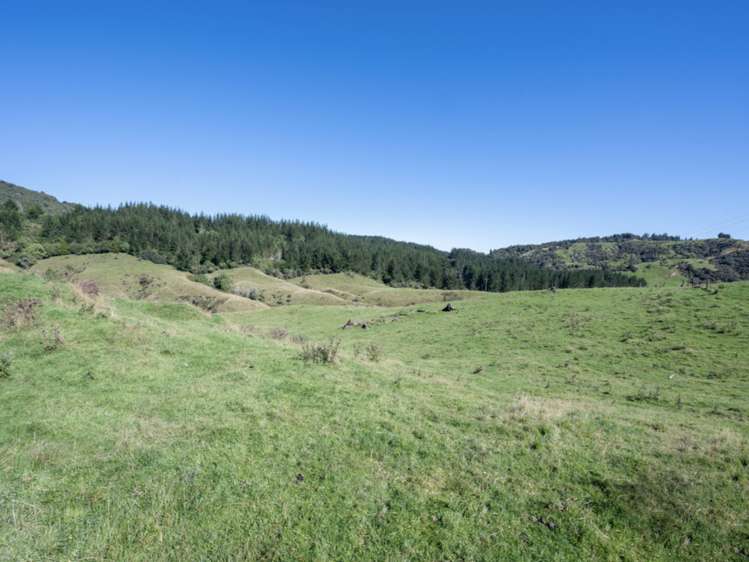 Kaitieke Road Owhango_16