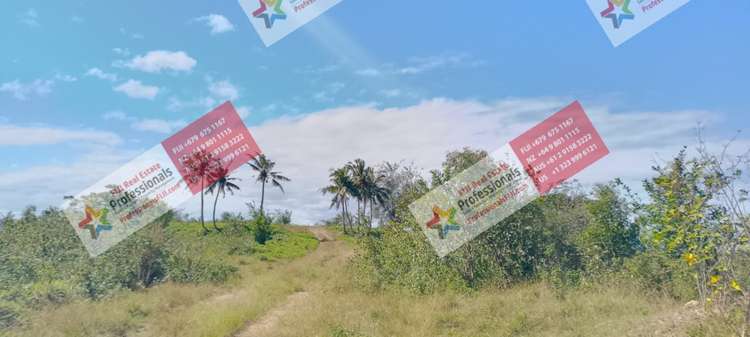 Address withheld Sigatoka_15