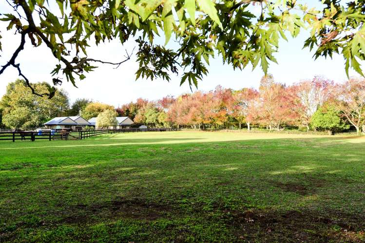 85a Windmill Road Tamahere_1