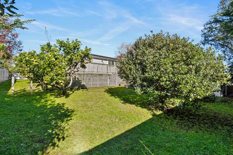 36 Mildmay Road Henderson_25