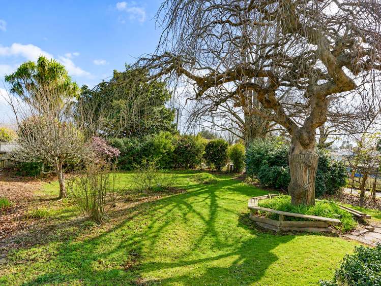 428 Thames Street Morrinsville_19