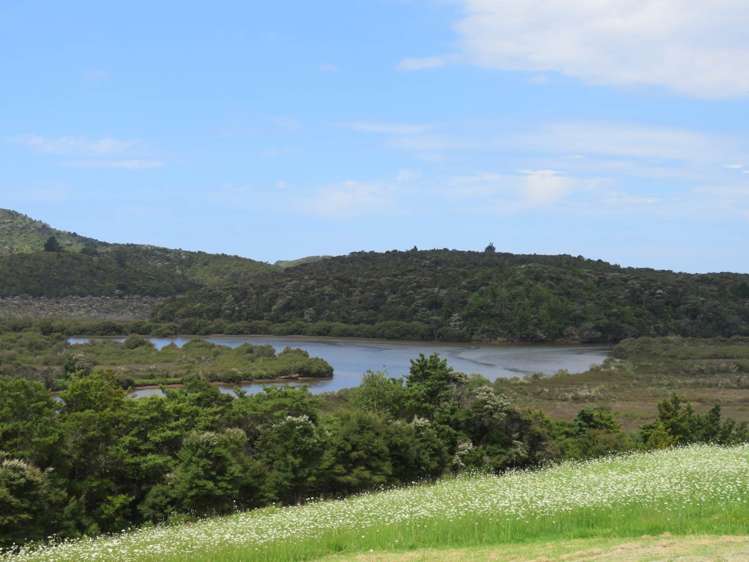 Pataua North Road Pataua_5