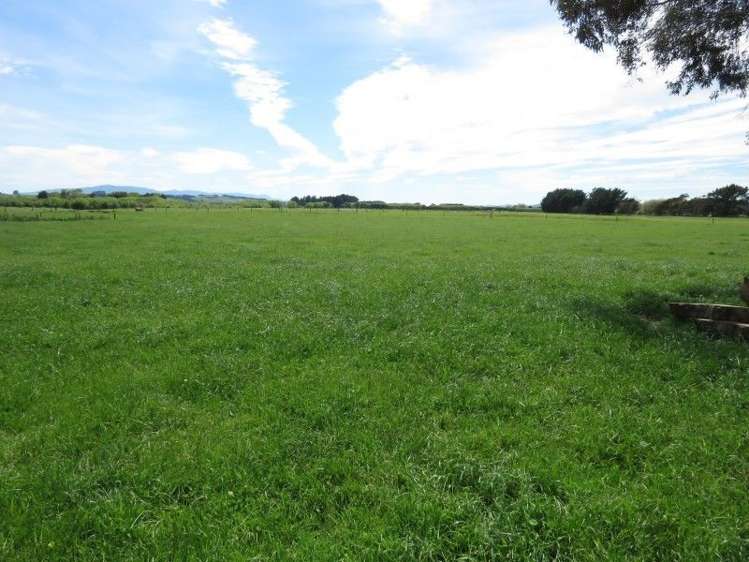 80 Avery Road Pahiatua_7