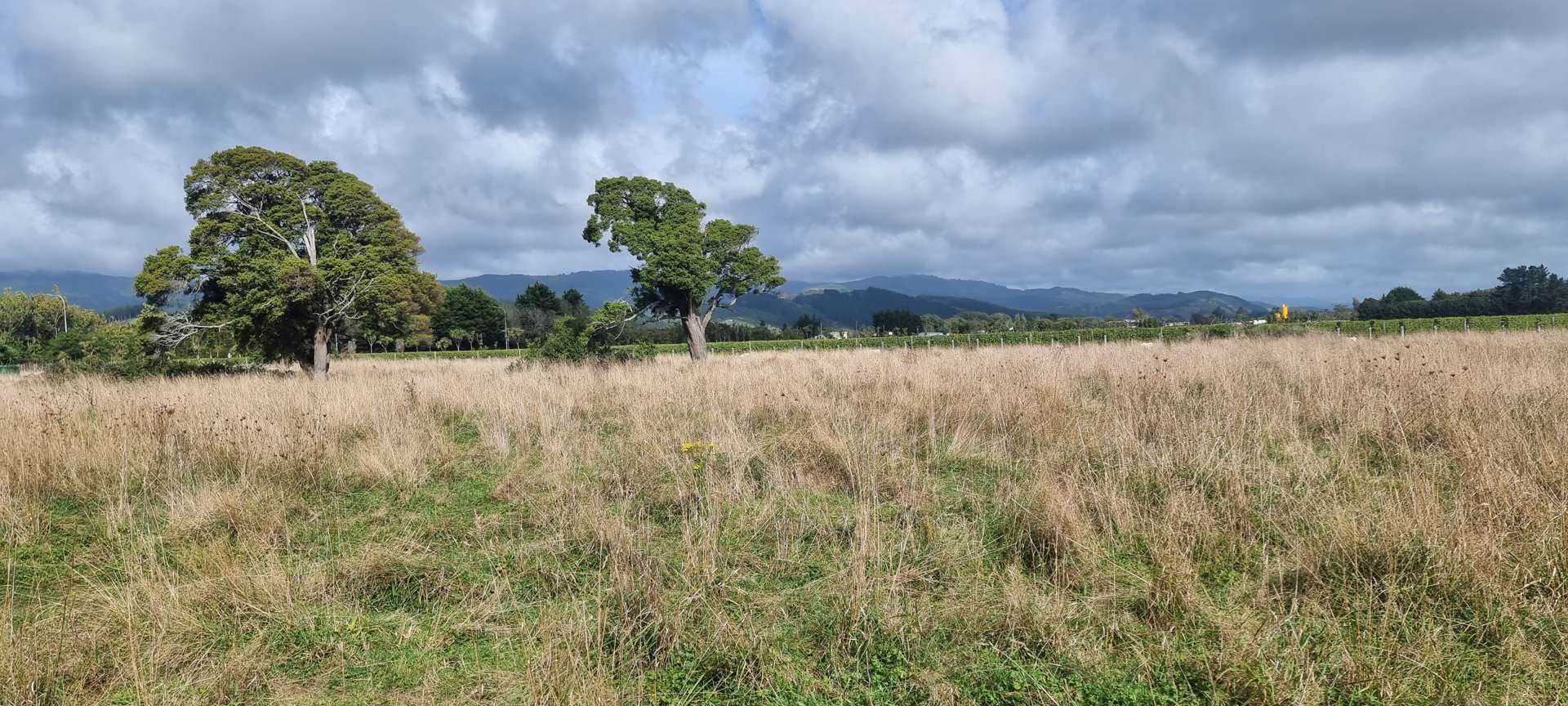 11 Muhunoa West Road Ohau_0