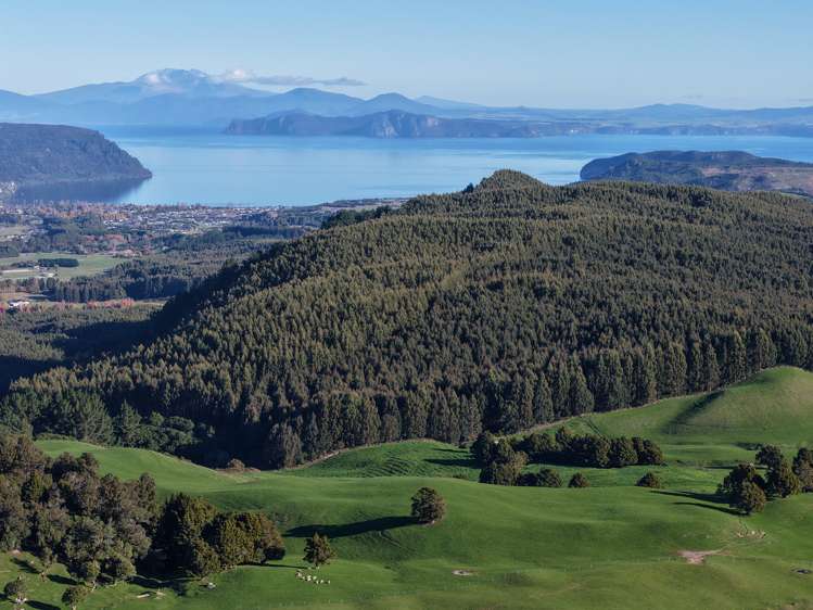 Poihipi Road Wairakei_8