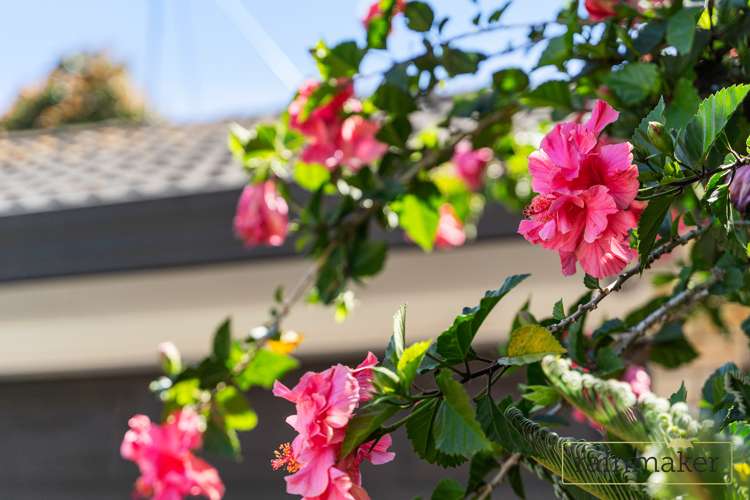 14a Martin Place Panmure_18