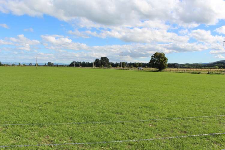 1562 State Highway 2 Kiriwhakapapa_12