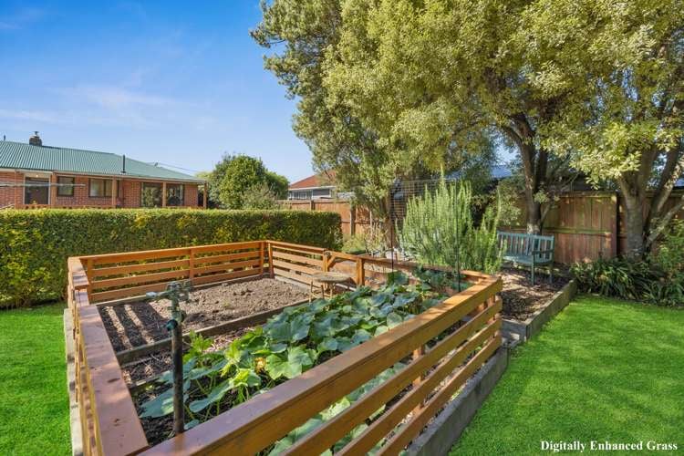 42 Harris Crescent Papanui_6