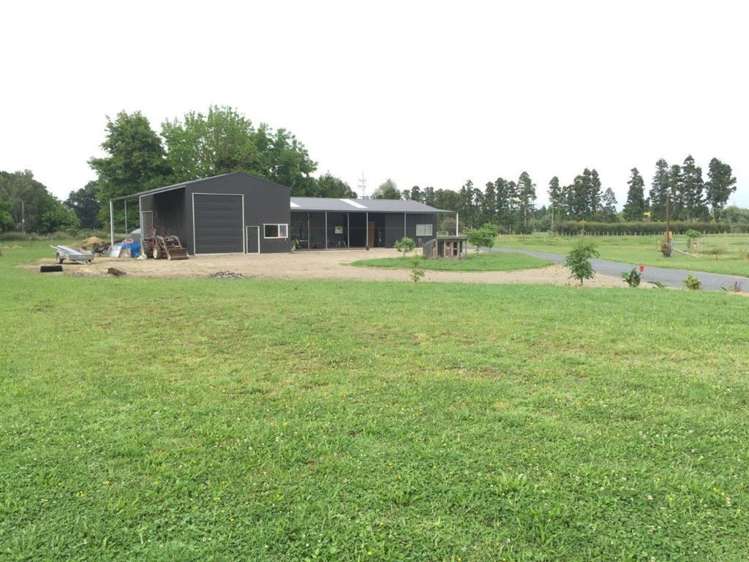 396a Bruntwood Road Matangi_5