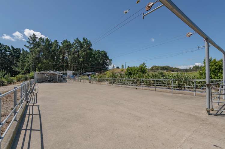 172 Kakariki West Road Eketahuna_20