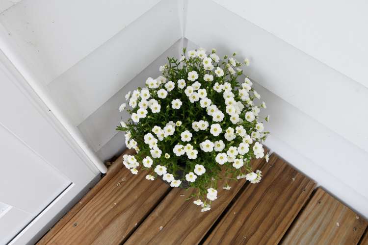 101 Hawkridge Heights Bethlehem_23