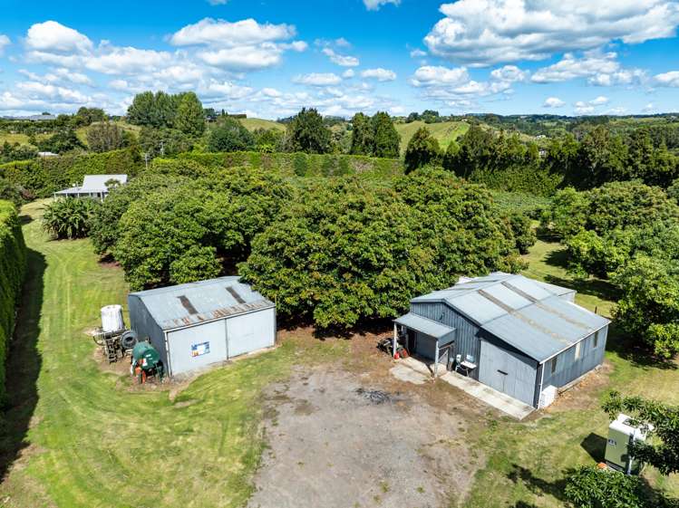 168 Youngson Road Whakamarama_8