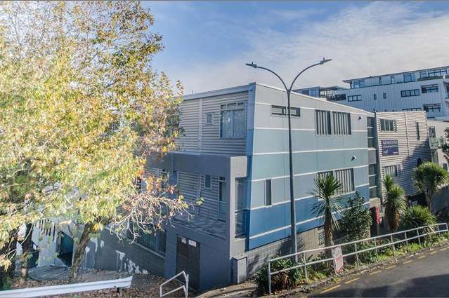 Renovated Modern Studio Eden Terrace