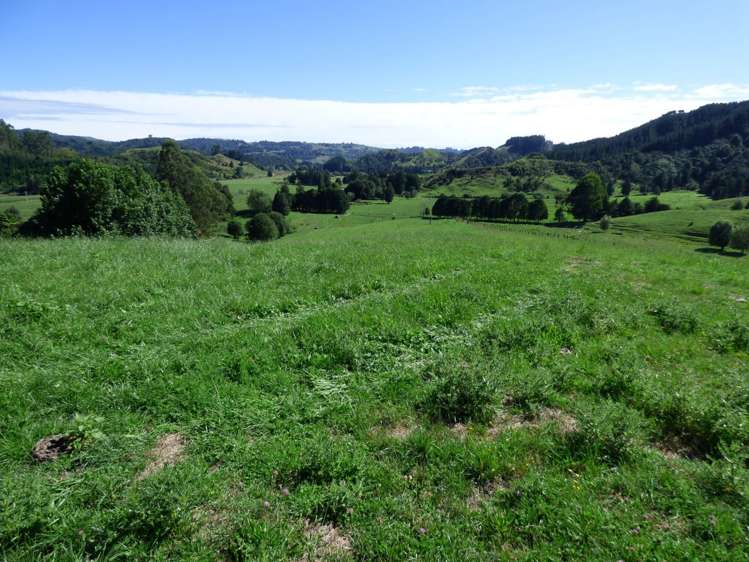 836 Waitomo Valley Road Waitomo_13