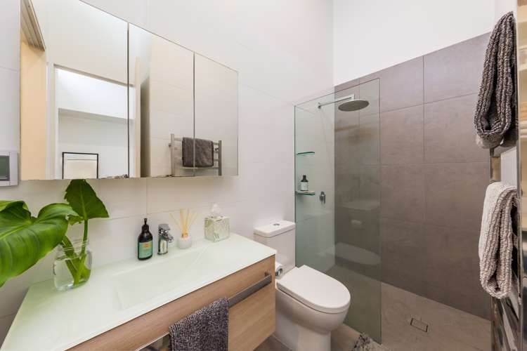 371 Murphys Road Flat Bush_10