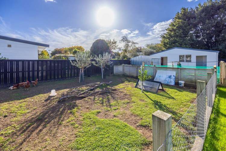 52 Mcclure Street Pirongia_3