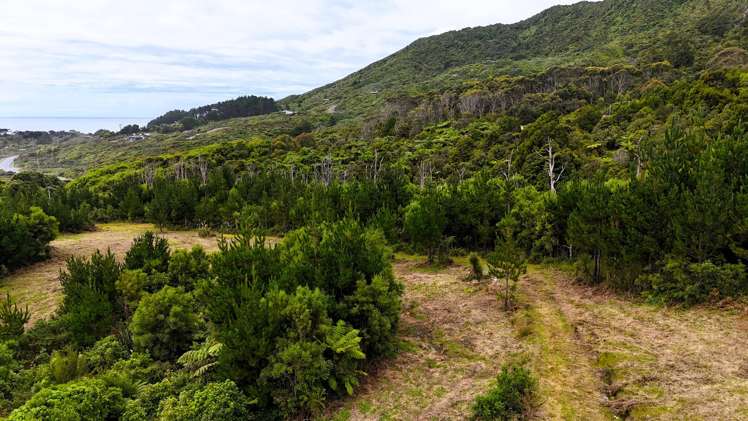 5296D State Highway 6 Punakaiki_7