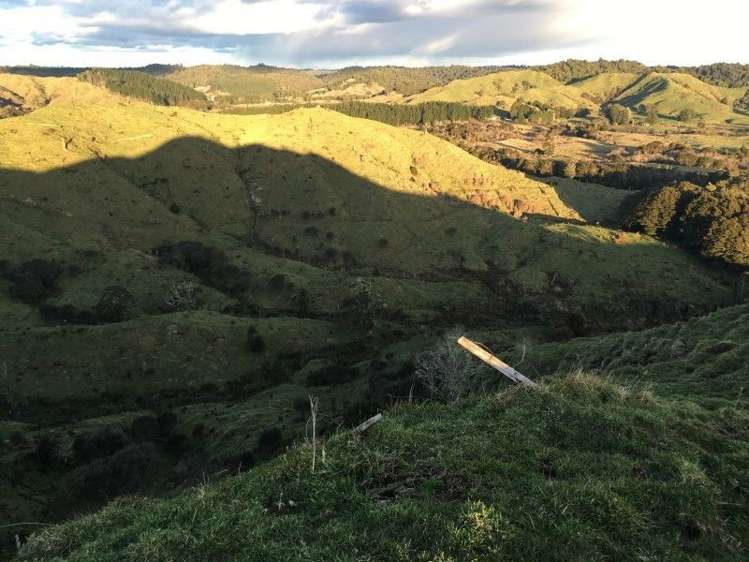 1427 Waitaanga Road Ohura_11