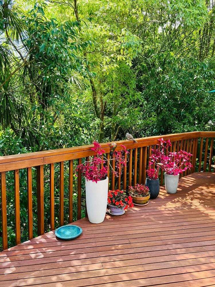 3/96a Verbena Road Birkdale_24