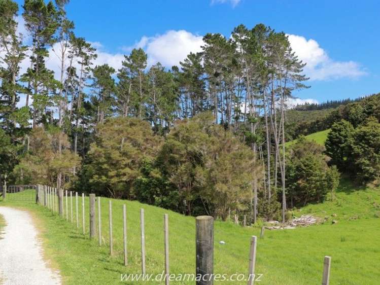 412c Paihia Road Kawakawa_17