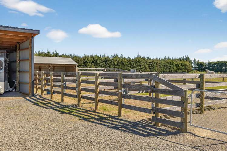 449 Ashley Road Cust_21