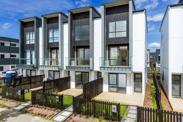 12 Papa Takaro Lane Flat Bush_1