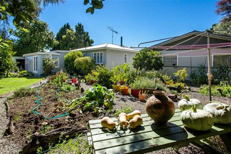 64 Waioeka Road Opotiki Coastal_12