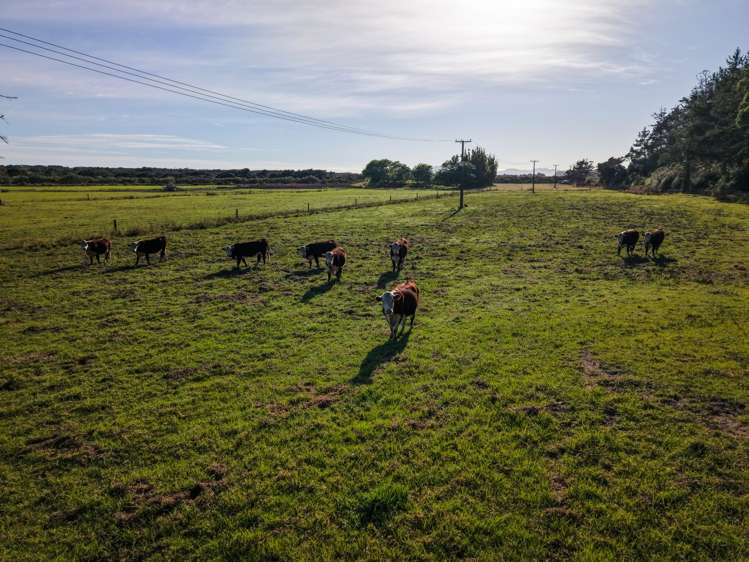 4560 State Highway 10 Lake Ohia_10