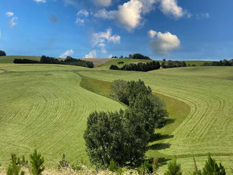 446 Skinner Road Clinton and Surrounds_9