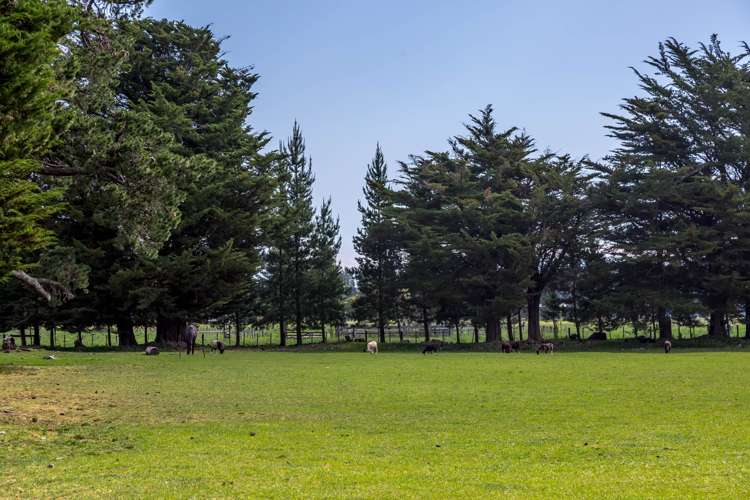 1923b State Highway 2 Tauwharenikau_20