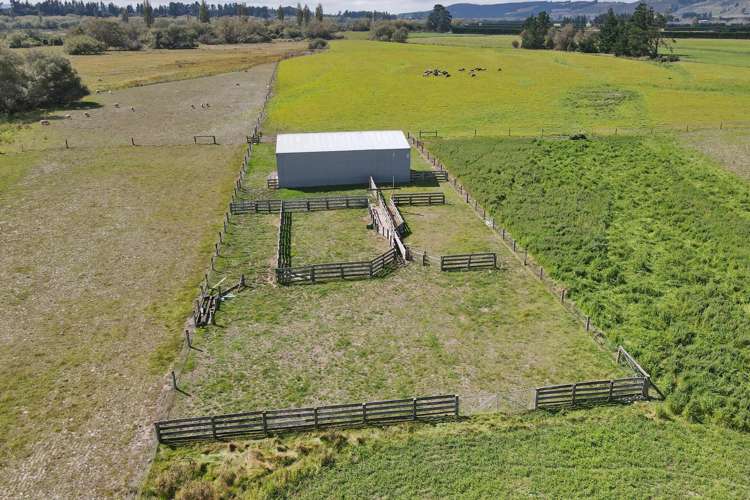 590 Ashley Road Summerhill_13