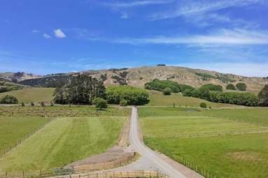 2538 Kahuranaki Road_1