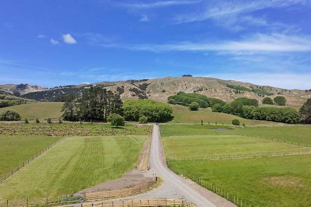 Lot 4 & 5/2538 Kahuranaki Road Elsthorpe_2
