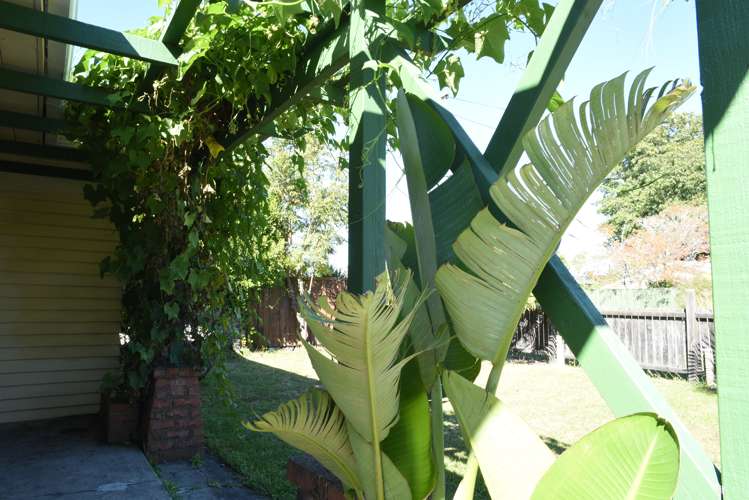 41 Queen Victoria Street Motueka_17