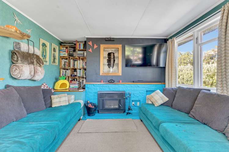 46 Parsons Street Vogeltown_7