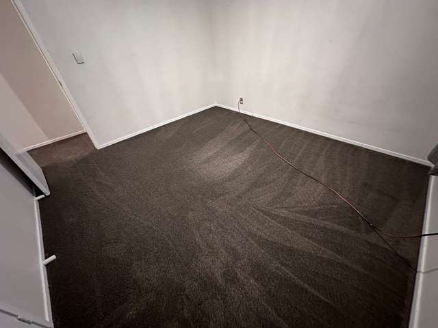 133 Finlayson Avenue Clendon Park_1