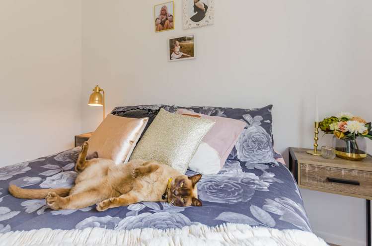 8 Mahia Lane Waikanae_13