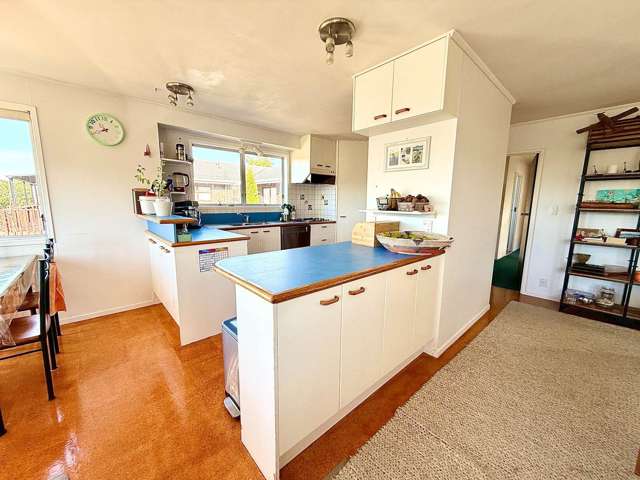 16 Mcfarland Street Remuera_2