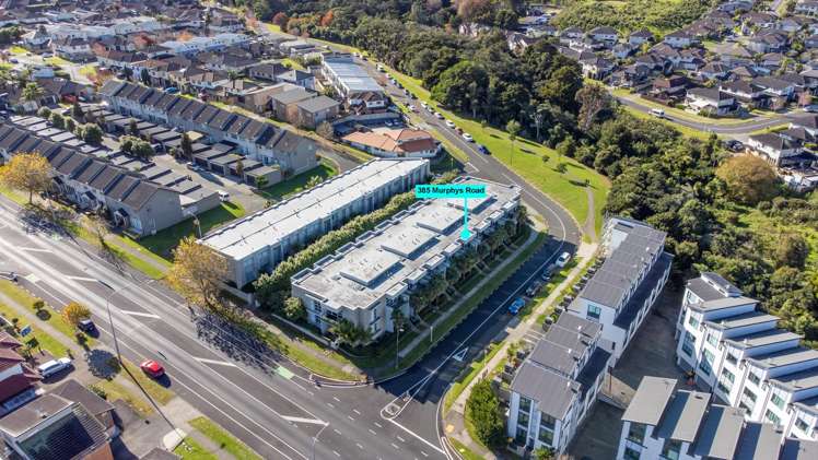 385 Murphys Road Flat Bush_12