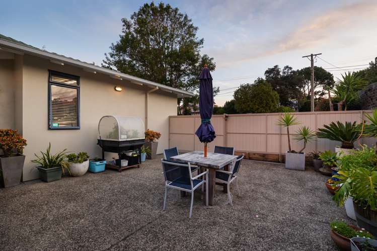 18 Alexis Avenue Mount Albert_39